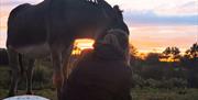 Someone seated with donkey and sunset