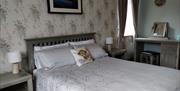 Photograph of a king size bed, made up with silver bedding and a decorative cushion. There is a bedside table on both sides of the bed and a table lam