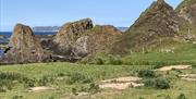 coastal rock formations and greenery