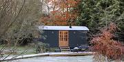 Curlew Hut after a light snow, with beech trees in autumn colour