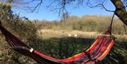 Hammock overlooking our pond