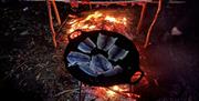 A selection of meats cooking on an open fire.