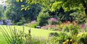 A lawn surrounded by trees and flowers with a bench.