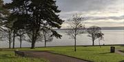 A path along the causeway coastal route with trees and a bench.