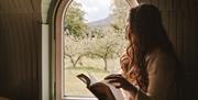 Views from bed Kingfisher's Residence cabin, Mourne Luxury Glamping