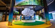 The Nature Zone at W5 with an interactive tree display in the middle.