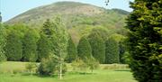 View of Knockree Mountain from 17th Hole