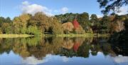 Lake Walk in Autumn