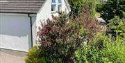 White exterior of Loughview Lodge with mature shrubbery to front for privacy