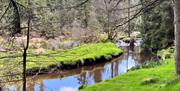 OM-Dark-Sky-Park-Photos-Tessa-Ann-Sound-Spa