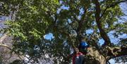 Children climbing on old homer, on the Tree Trail in Kilbroney Park