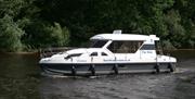 image of cruise boat in water with river bank and tress in the background.