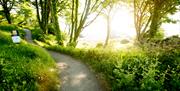 A woodland path along the Coastal path shore