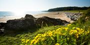 Helen's Bay beach