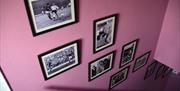 a series of framed photographs showing George Best playing football and meeting fans