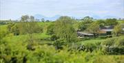 Lush green landscape surrounds