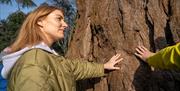 Lady connecting with a tree as part of the Journey into Stillness experience