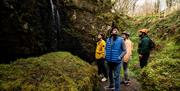 Group in the forest enjoying the Electric Escape experience with Corralea Adventure Centre