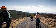 Group of four people on electric bikes on a trail enjoying the Electric Escape experience with Corralea Adventure Centre