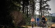 Group on electric bikes on a trail enjoying the Electric Escape experience with Corralea Adventure Centre