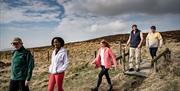 Group enjoying the Cavehill Walking Tour with Experience and Explore