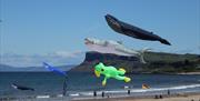 Kites flying in the sky, with the sea and beach below and Fairhead in the distance