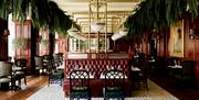 Dining area, Slieve Donard Hotel