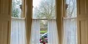 Image of bay window with two armchairs