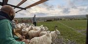 Group watches over Jamese as he talks through the principles of herding sheep