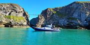 Stormborn at Carrick-a-rede