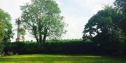 Image show back courtyard with large lawn surrounded by hedge and trees