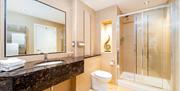 Bathroom with a walk-in shower, toilet, marble sink and a large mirror.