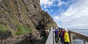 group on walk bridge looking out onto the cliff face