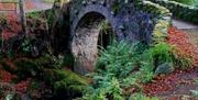 Foleys Bridge