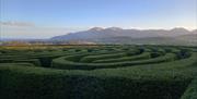 Castlewellan Peace Maze