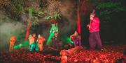 Musicians in Slieve Gullion Forest Park at Footsteps in the Forest