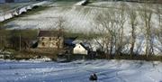 Winter at Whitehill