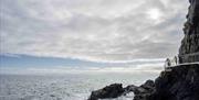 Group looks out over the Irish sea from The Gobbins cliff path