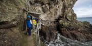 Group walks along the rocky cliff path of The Gobbins