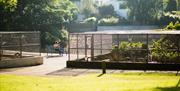 Photo of the Ward Park Aviary beside the duck pond