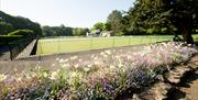 Photo of the Ward Park Bowling Green and Club house surrounded by flora and fauna