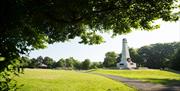 Photo of the war memorial in Ward Park, framed by leafy trees