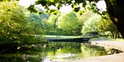 Photo of the Ward Park duck pond and wooden bridge, surrounded by leafy green trees mid summer