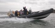 Boat Tours Strangford Lough