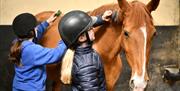 2 girls are brushing a horse