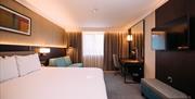 Photo of a family room in the Crowne Plaza Belfast hotel. There is a king size bed and a sofa bed. There is a desk in the background and a TV screen o