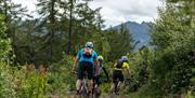 Mountain Biking with Life Adventure