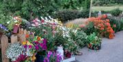 The garden area in front of the sitting room.