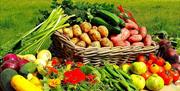 A selection of vegetables on a wooden display in a field.