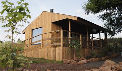 Picture of the Hideaway cabin and the veranda at the front of the cabin.